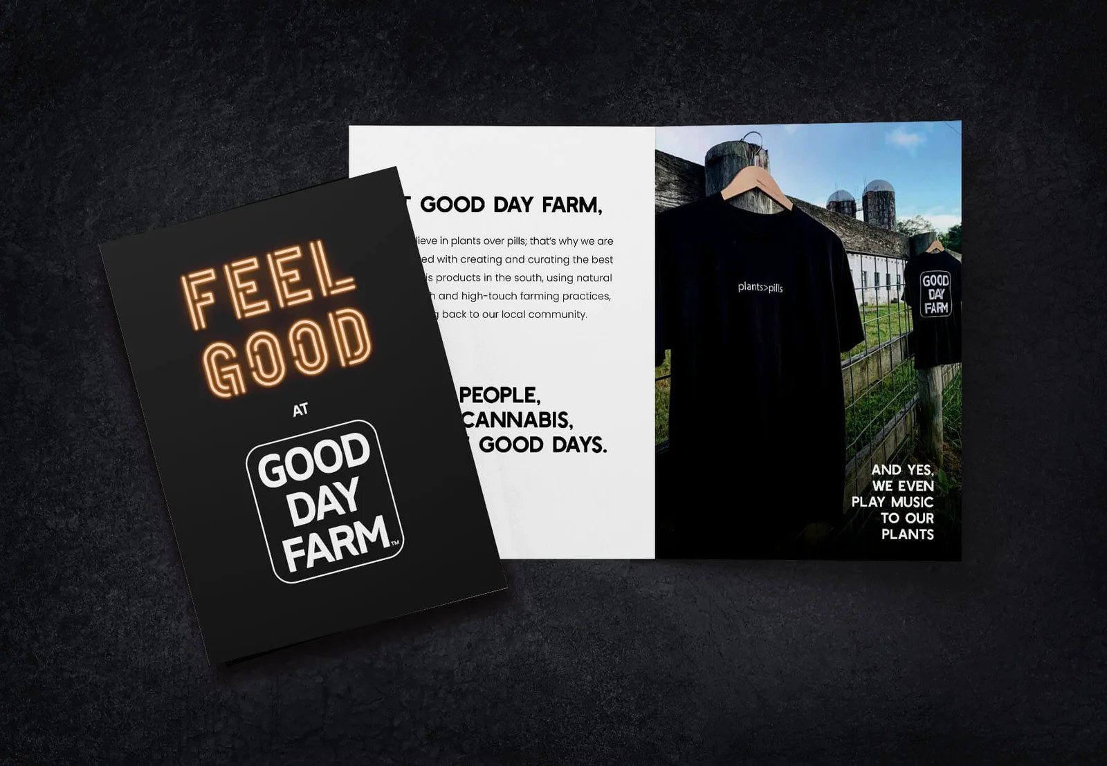 GDF-Portfolio-5